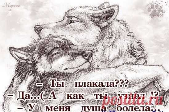 ВЕРНОСТЬ и ЧЕСТНОСТЬ присущи только немногим ...достойным людям! Это слишком дорогой подарок, которого от дешёвых людей ждать не стоит!!!..