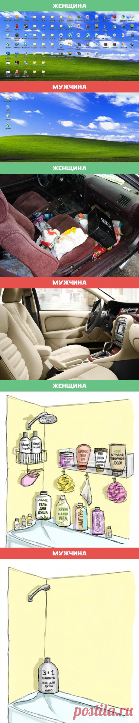 10 отличий женщин от мужчин