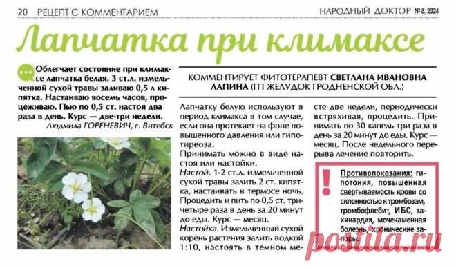 Лапчатка при климаксе