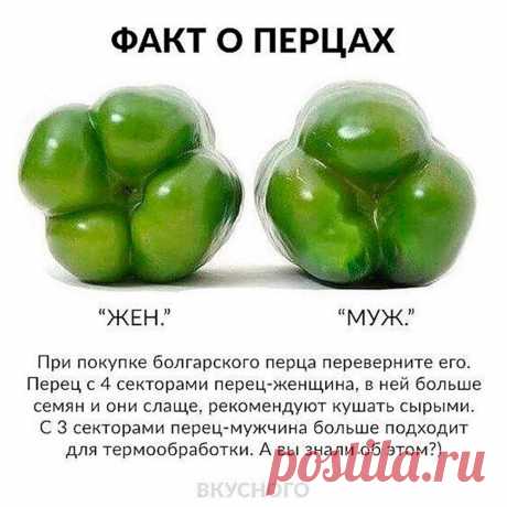 хх
