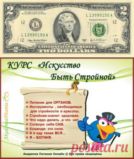 Все мужчины ищут Умную,Красивую,Стройную,Ухоженную,Стильную,Роскошную,Сексуальную
А ВЫ для ЭТОГО что - нибудь ДЕЛАЕТЕ?
Академия Питания  проводит КУРС  «Искусство Быть СТРОЙНОЙ», который включает все необходимые моменты, что бы ВЫ стали БОГИНЕЙ!
Приходите и приводите друзей!  Желающие пишите в личку.