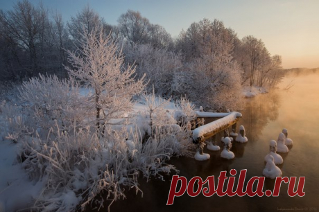 Фото дня на «Фото.Сайте»
Автор: Лукьяненко Денис

Другие работы автора: www.photosight.ru/users/402458/