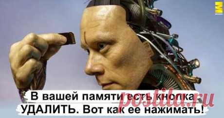 В вашей памяти есть кнопка УДАЛИТЬ... 
«Повторенье — мать ученья», — гласит затасканная поговорка. Это правда: чем больше тренируешься в игре на пианино, иностранном языке или жонглировании, тем прочнее эта деятельность закрепляется в моз…