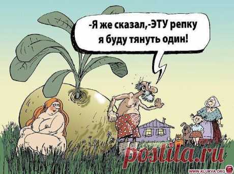 Антонина: ЖИВУ, ЦВЕТУ и ХОРОШЕЮ! О том, что было — не жалею! О том, что будет — не гадаю! А то, что есть — я обожаю!!!