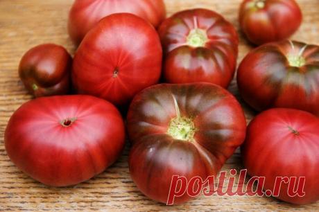 А эти подкормки томат не любит! И на огороде они не нужны: 3 модных удобрения, которые важно забыть | В саду у Валентинки | Яндекс Дзен