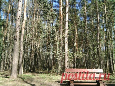 Летом в парке...