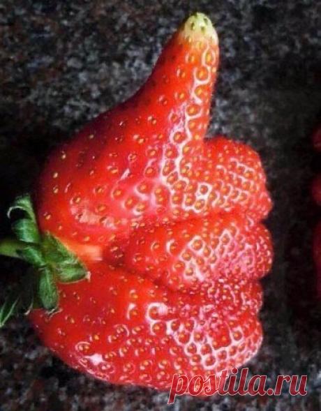 У природы отличное чувство юмора 😅