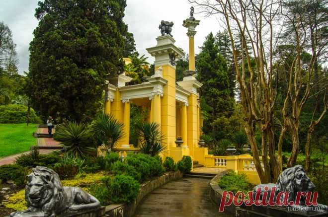 Посещение Дендрария в Сочи