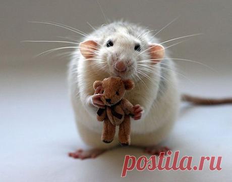 Крепко держит.