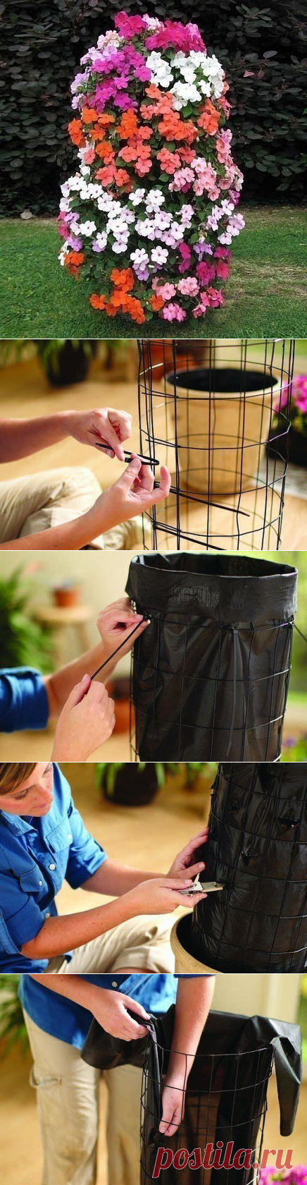 Вepтикальная клумбa с пeтунией — Сделай сам, идеи для творчества - DIY Ideas