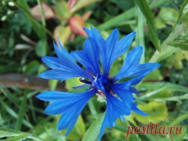 Как я полюбила мыть полы и готовить | Счастью быть | Яндекс Дзен