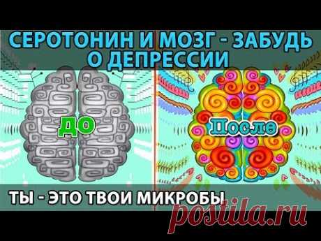 СЕРОТОНИН - твой источник счастье. Влияние на мозг и пр. Как позабыть о депрессии - YouTube