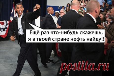 Весёлые картинки разномастные для улыбок и хорошего настроения | Приколисты