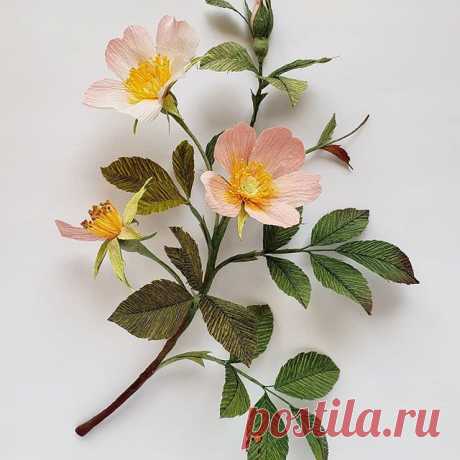 Rosa in the wild.  See you other "wild types" tomorrow @castleintheairshop 💘.