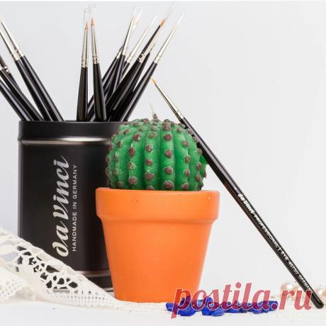 🌵 Питьевой гель Aloe Vera Sivera от LR c экстрактом крапивы богат ценными и полезными для организма веществами. 

🌿 В основе геля – 90% экстракта алое вера, 7 % цветочного меда, а также ценный экстракт крапивы, витамины С и К. Ценность крапивы связана с высоким содержанием кремния – необходимого элемента для поддержания сердечно-сосудистой системы.