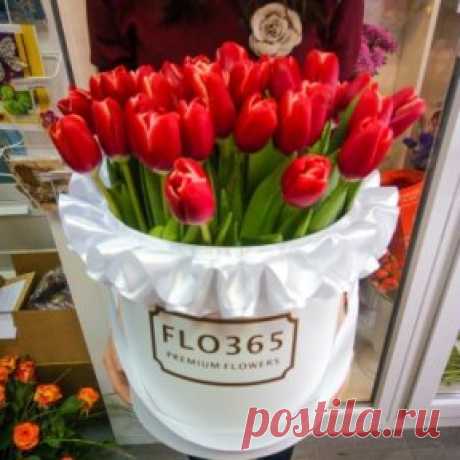 ..Так хочется Тюльпанов в Январе...Каких-нибудь особенно красивых..
Как Облако на утренней Заре ...Не гордых Роз, не хризантем Спесивых..
Не Ландышей, не Крокусов цветных...А именно Тюльпанов: лёгких, хрупких...