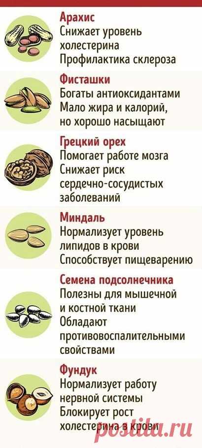 X2iNhq6Xk-w.jpg (410×910)