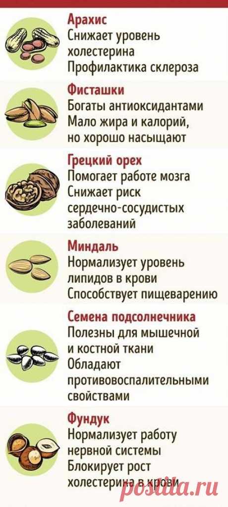 X2iNhq6Xk-w.jpg (410×910)