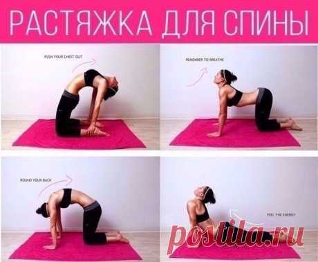 Растягиваем спинку каждое утро для хорошего самочувствия