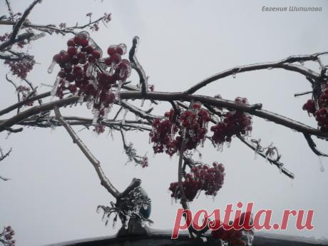 Работа ОНЛАЙН, БЕЗ ВЛОЖЕНИЙ Please RT https://evgeshashipilova.wix.com/toplider1