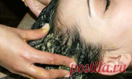 Recetas de shampoo casero y natural - Mejor Con Salud
