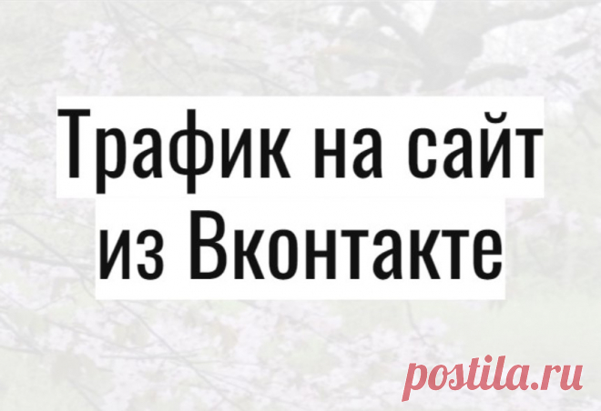 Посетители из Вконтакте для поведенческих факторов
