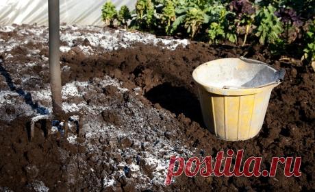 Раскисление почвы: весной или в другое время? | 6 соток