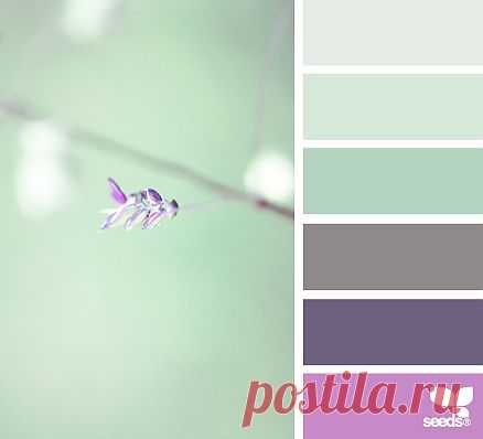 Design Seeds® | find your palette