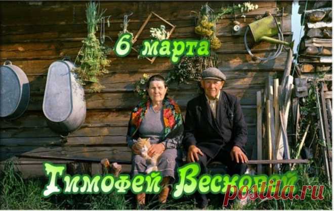 На Тимофея тепло веет – стариков греет.