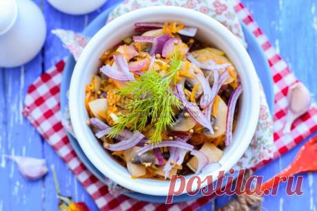 Письмо «сообщение галина5819 : Маринованные шампиньоны по-корейскиl (05:07 08-02-2017) [3803925/408115986]» — галина5819 — Яндекс.Почта