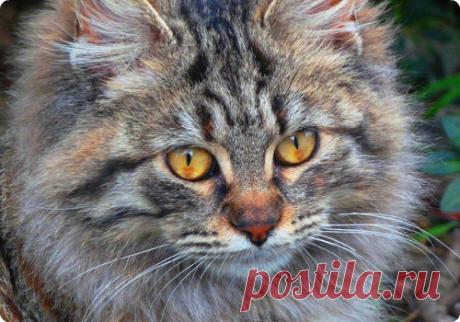 Мой Мир@Mail.Ru