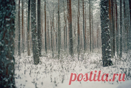 Отдыхаем правильно: как помочь семье быть здоровой и энергичной