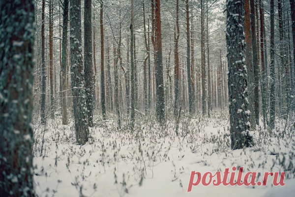 Отдыхаем правильно: как помочь семье быть здоровой и энергичной