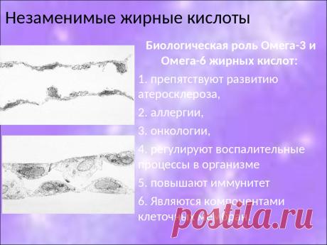 Команда bmd21 Life Style