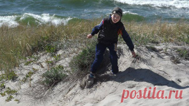 Фотографии Ольги Гущиной | 5 альбомов