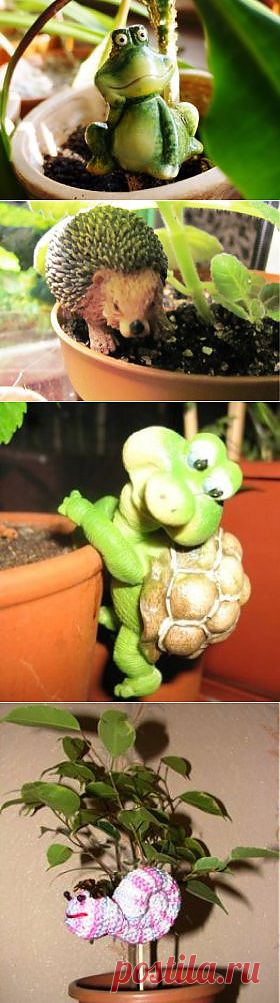 Декор для комнатных растений