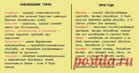 Шпapгалка на всю жизнь: 99 лекарств, котopые могут вылeчить почти все!

Бывает так, что лечение необходимо начать немедленно, времени на посещение врача нет. Тогда на помощь может прийти шпаргалка, где собрана информация о 99 самых лучших лекарствах.

Благодаря этим подсказкам вы всегда будете знать, что и когда принять, чтобы помочь себе при простуде, заболеваниях ушей, глаз, горла и т.д.

Перед покупкой и применением каких-либо лекарств обязательно проконсультируйтесь с ...