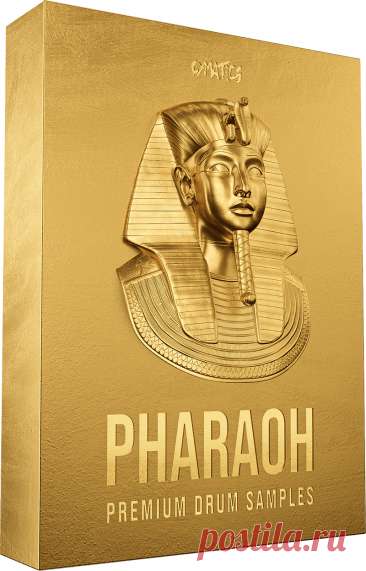 PHARAOH Premium Drum Samples WAV MiDi  | 7.34 GB
The Hardest Hitting Drums We’ve Ever Made!

Nothing gets the attention of a listener like heavy hitting drums.

In an industry full of the same old recycled drum sounds, we wanted to pave a new lane and bring something authentic to the table.