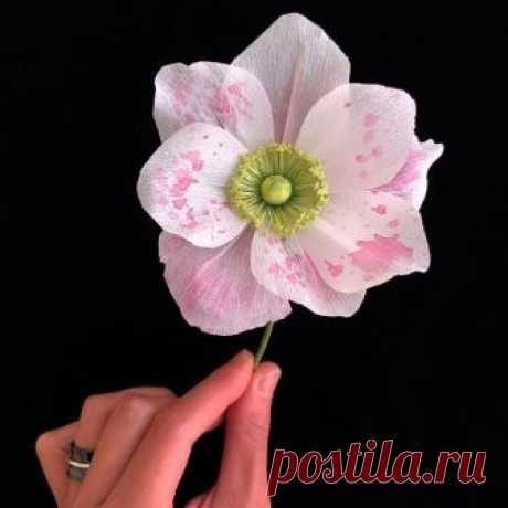 Watercolour on Italian crepe paper, hand painted & made by yours truly. Based on a real anemone on @mivioleta’s feed, head over if you’d like to see my model muse 😘💕 #papetal #flowersmith