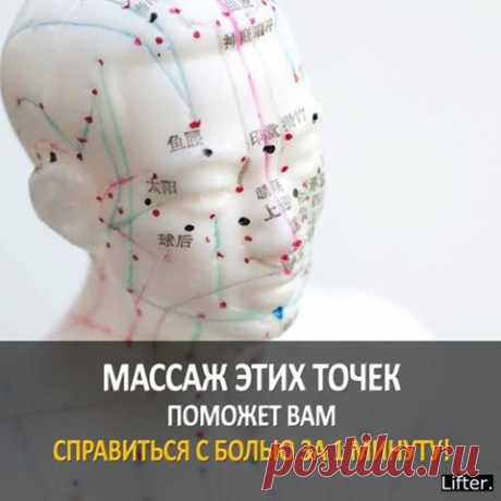 (5) Полевая Практика