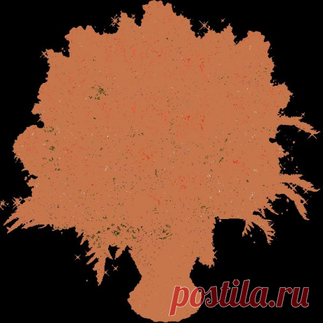 Красные Розы | Для Социальных Сетей