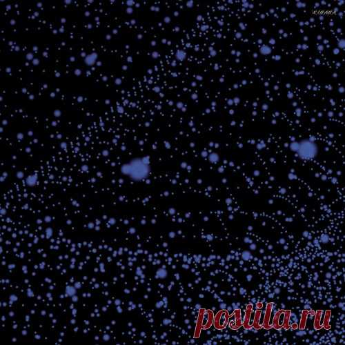 Camoflash, Chiquis - Complementary Content [Xibaba]