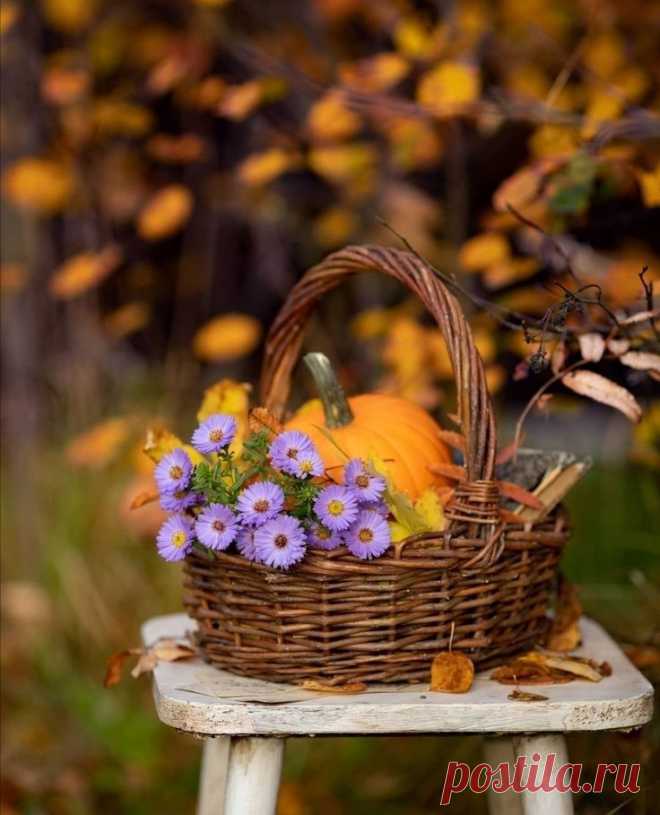 Пин на доске Automne/Autumn