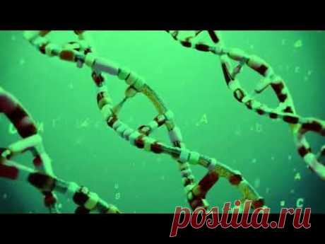 John Dyson - Evolution - Full Album - 2003