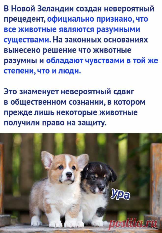 Без комментария