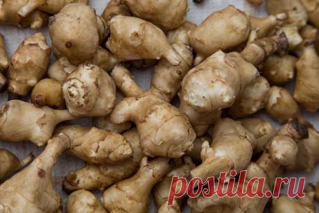 Что такое топинамбур и чем он полезен?