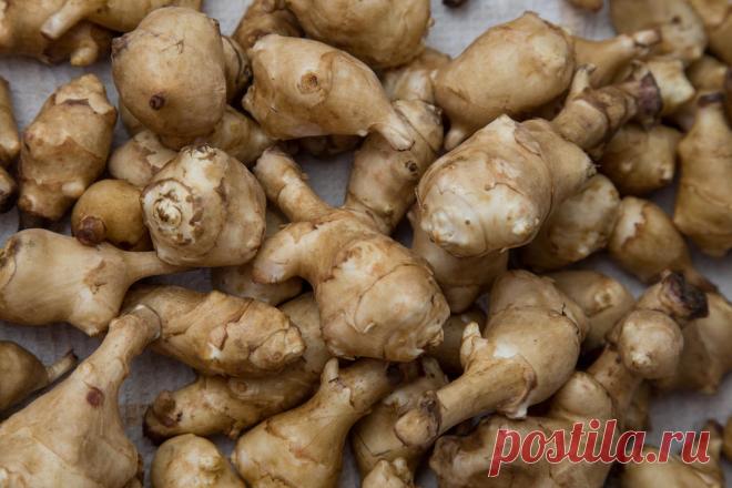 Что такое топинамбур и чем он полезен?