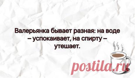 Мода пышных форм - Одежда больших размеров