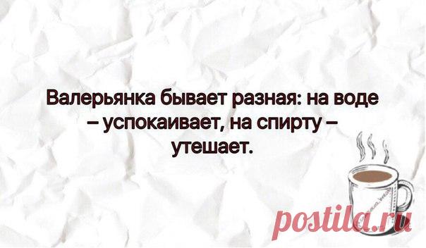 Мода пышных форм - Одежда больших размеров