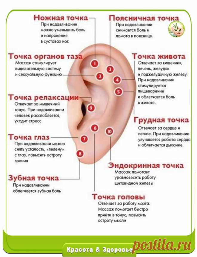 kuFWX81y_RQ.jpg (831×1080)
